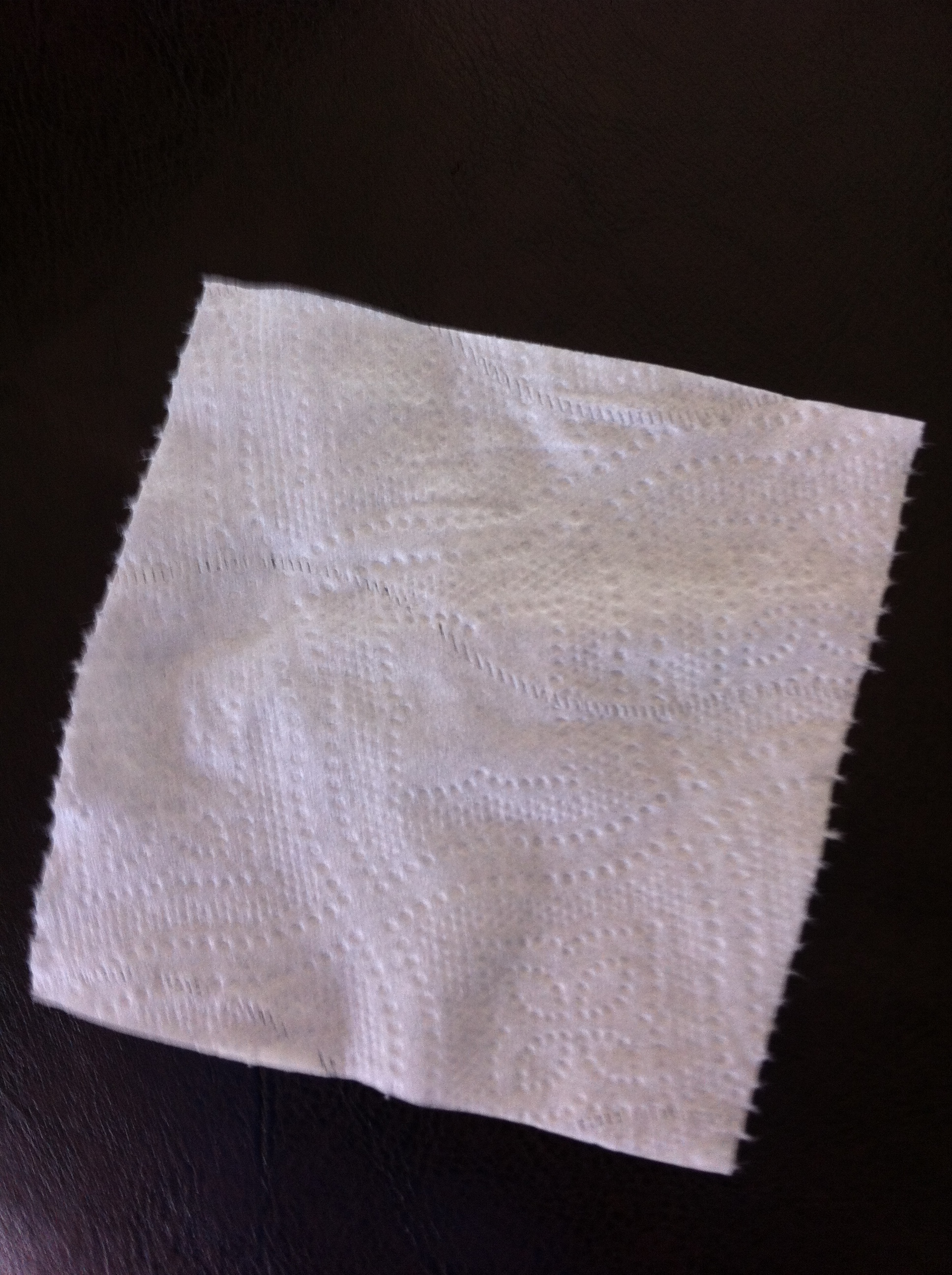 Toilet Paper Square